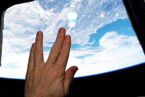 terry-llap