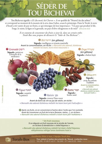 seder-tou-bichevat